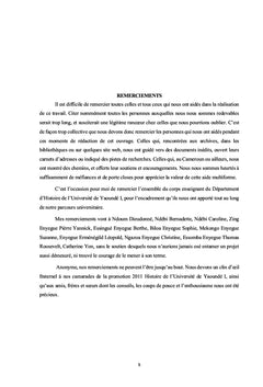 La force multinationale mixte et la problematique de la guerre hybride