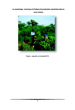 Le maraîchage : Pratique et technique de production maraîchère