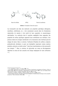 Les Bio-Tensioactifs à Base de Sucres