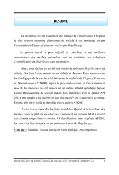 Essai d'isolement de quelques souches de shigelle