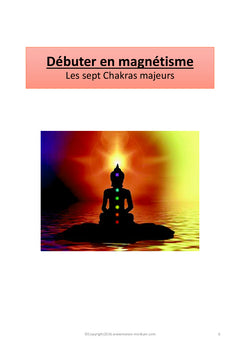 Formation au magnétisme curatif