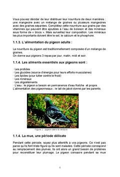 L'Élevage des pigéons, des lapins et des dindons