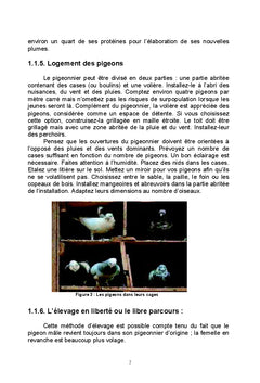 L'Élevage des pigéons, des lapins et des dindons