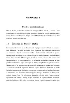 Résolution numérique des phénomènes liés au réchauffement climatique