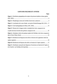 Biocaractérisation des poissons du fleuve Nkam, Littoral Cameroun