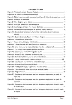 Suivi de l'évolution des bioagresseurs des cultures: tomates et oignons