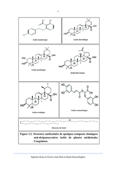Étude pharmaco-biologique de Sarcocephalus latifolius (Rubiaceae)