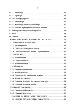 La multiplication végétative des arbres fruitiers, cas de Safoutier