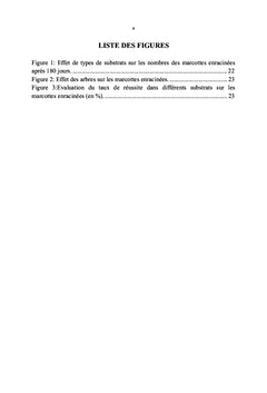 La multiplication végétative des arbres fruitiers, cas de Safoutier