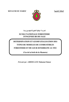Caractérisation spatiale de combustible forestier par rapport au feu