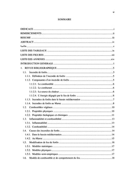Caractérisation spatiale de combustible forestier par rapport au feu
