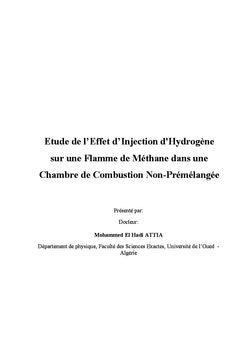 Etude de l'Effet d'Injection de H2 sur une Flamme Non-Prémélangée