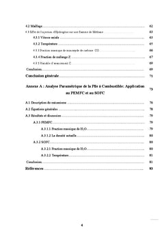 Etude de l'Effet d'Injection de H2 sur une Flamme Non-Prémélangée