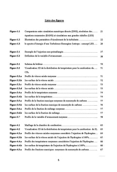 Etude de l'Effet d'Injection de H2 sur une Flamme Non-Prémélangée