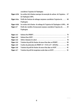 Etude de l'Effet d'Injection de H2 sur une Flamme Non-Prémélangée