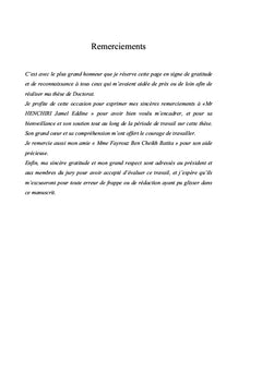 Les spécificités de la structure financière des entreprises familiales