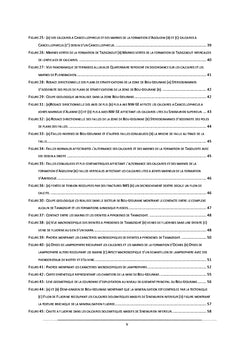 Étude géologique et gîtologique des gisements de fluorines