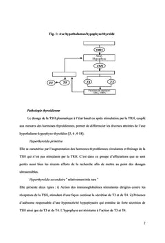 Développement d'une méthode immunochromatographique