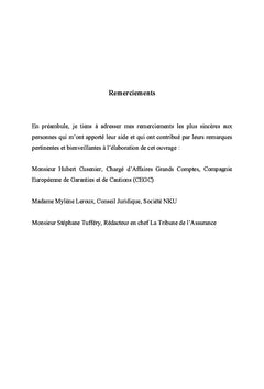 Risk Manager dans l'Immobilier d'Entreprise