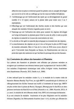 Contrôler le flétrissement bactérien de bananier et plantain