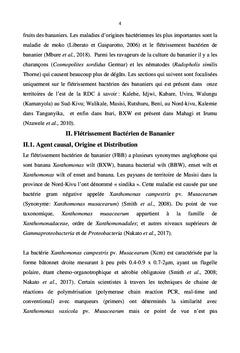 Contrôler le flétrissement bactérien de bananier et plantain