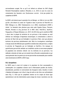 Contrôler le flétrissement bactérien de bananier et plantain