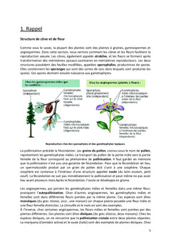 Biologie et physiologie de la reproduction chez les plantes à fleurs