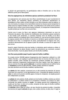 Biologie et physiologie de la reproduction chez les plantes à fleurs