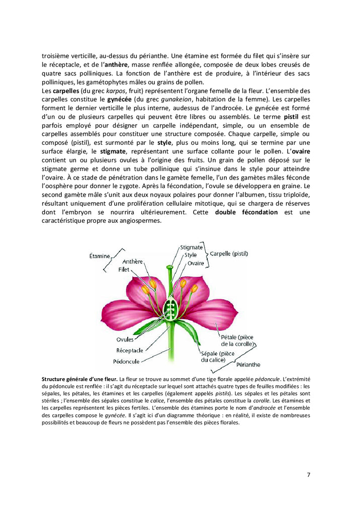 Biologie et physiologie de la reproduction chez les plantes à fleurs