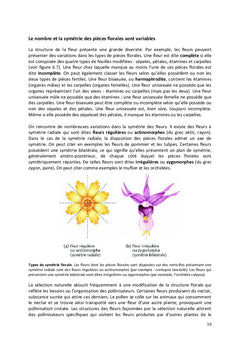 Biologie et physiologie de la reproduction chez les plantes à fleurs