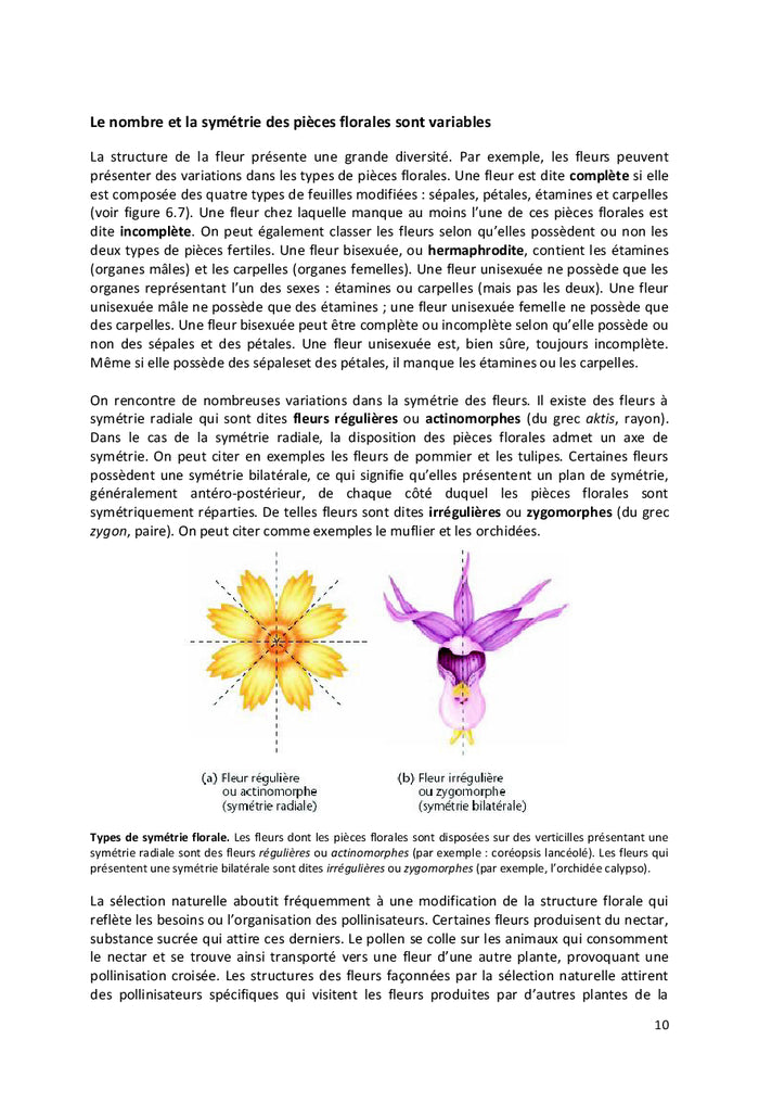 Biologie et physiologie de la reproduction chez les plantes à fleurs