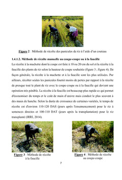 Synthèse bibliographique sur les batteuses-vanneuses à riz