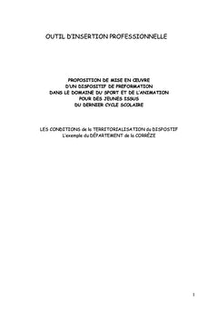 OUTIL D'INSERTION PROFESSIONNELLE sport et animation