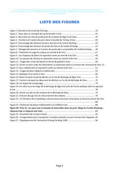 Représentations Sociales des Déchets
