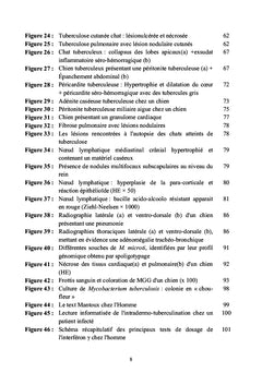 La tuberculose humaine, canine et féline