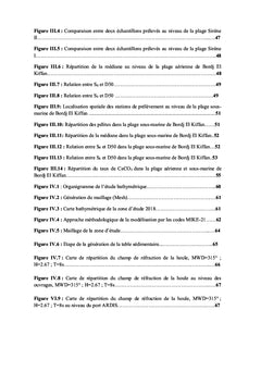 Morphodynamique et modElisation des plages du littoral