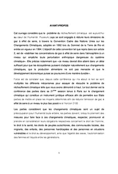 Impact de COP 21 sur l'exploitation minière artisanale en RD.Congo