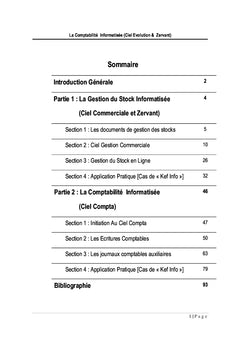 La Comptabilité Informatisée