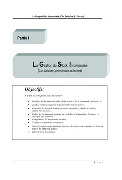 La Comptabilité Informatisée