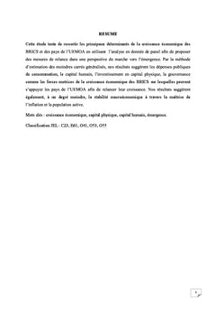 Analyse des determinants de la croissance economique des pays de l'UEMOA et des BRICS