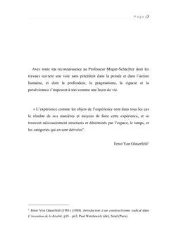 Systémique relativisée