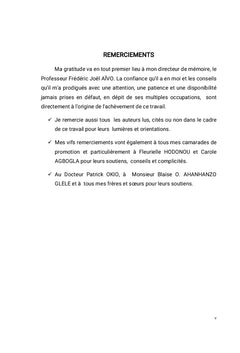 La responsabilité politique du Gouvernement en Afrique