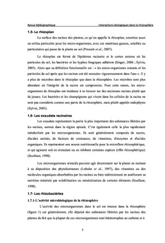 Effet PGPR de quelques Streptomyces