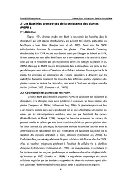 Effet PGPR de quelques Streptomyces