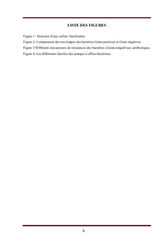 Les plantes alimentaires et la lutte contre les bactéries résistantes