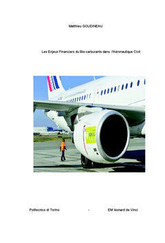 Les enjeux financiers du biofuel dans l'aéronautique
