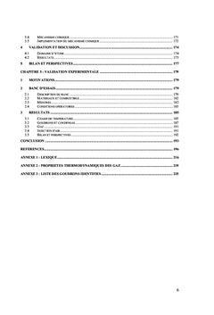 Etude numérique et expérimentale de la gazéification du bois