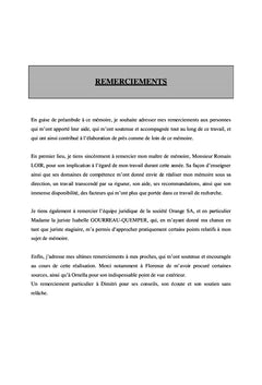 Le droit des plates-formes de commerce en ligne