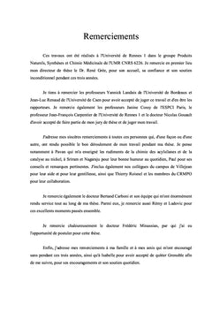 Composés organosilicés pour la synthèse de fragments de polycétides
