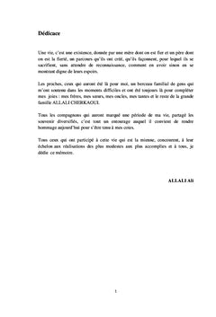 La politique de contrôle au sein des organisations publiques